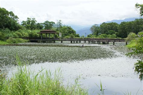 羅山大魚池：世界級水產養殖的瑰寶