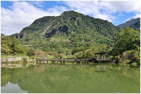 羅山大魚池 1,888 條魚悠遊快活