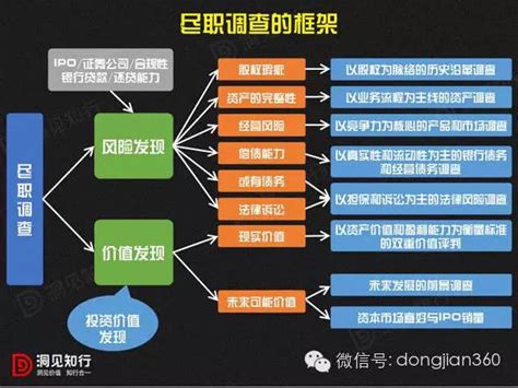 羊毛製品中文大解析：10000字深度分析