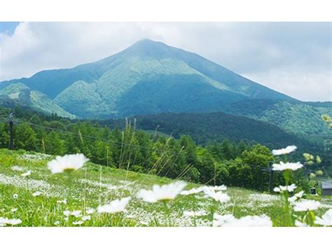 羊蹄山名水公園