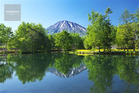 羊蹄山景點