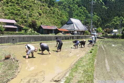 美山 きぐすりの歴史と効能