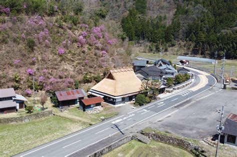 美山 きぐすりの見つけ方：信頼できる情報源