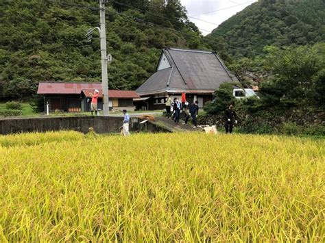 美山 きぐす りやの歴史