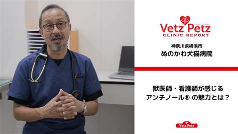 美川どうぶつ病院: あなたのペットの健康と幸福のための包括的なガイド