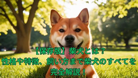 美濃柴犬の性格・特徴を徹底解説！