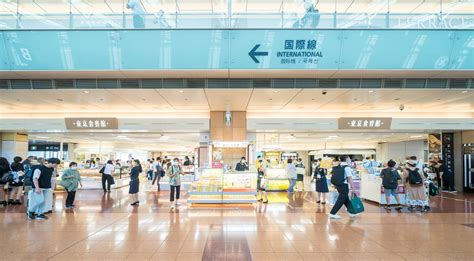 羽田空港のペット用品ショップガイド