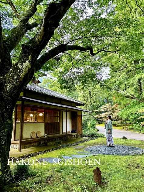 翠松園：百年養生傳奇