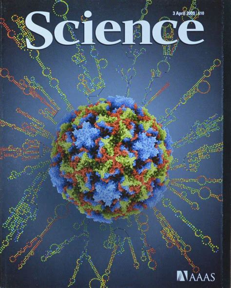 耐久性世界的探索：从材料科学到前沿应用