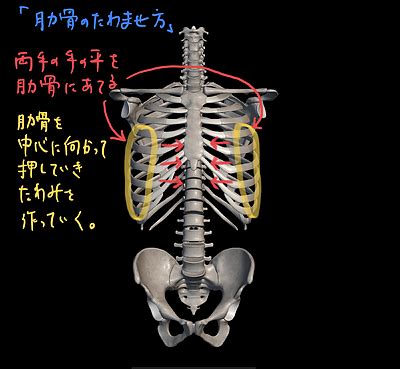 肋骨が浮き上がる原因