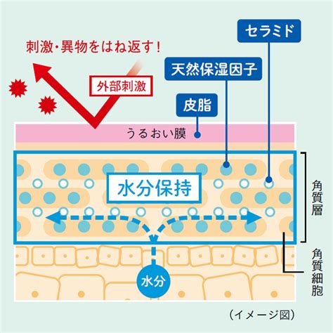 肌を守り、トラブルを予防するスキンガード