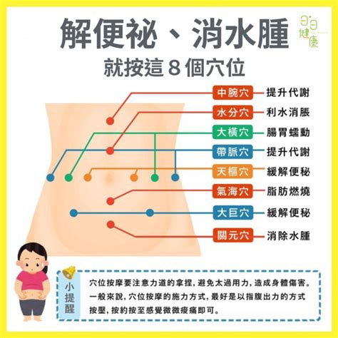 肚子中文：解開腹部健康的秘密