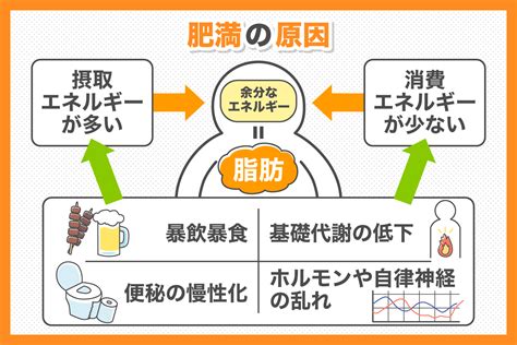 肥満の定義と原因