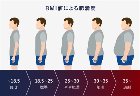 肥満度2 見た目の改善ガイド: 健康的な体を取り戻すための包括ガイド