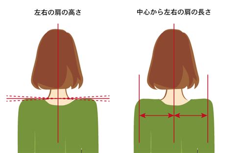 肩までの高さ：