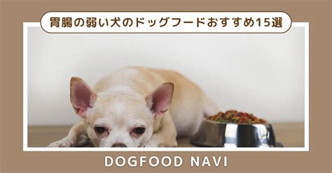 胃腸に優しいドッグフードで健康的な愛犬の生活へ