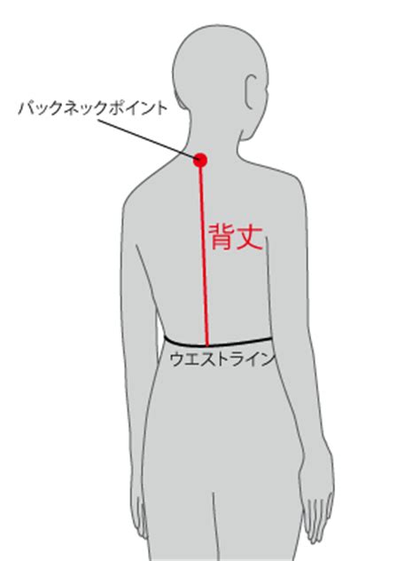 背丈の測り方：正確かつ信頼できる測定のための包括ガイド