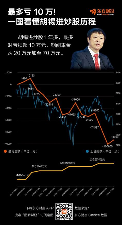 胡锡进炒股最新：收益如何，投资策略是什么？