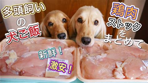 胸肉犬のメリット