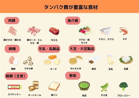 脂肪分が少なく、タンパク質が豊富な豚肉