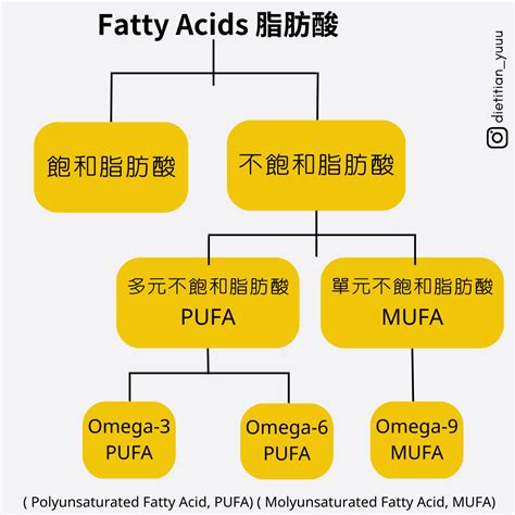 脂肪酸：