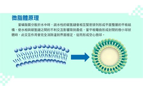 脂質包覆體：