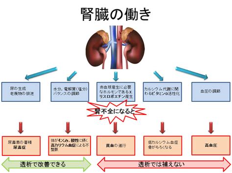 脱水 腎 不全