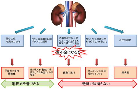 腎臓病