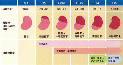 腎臓病の段階