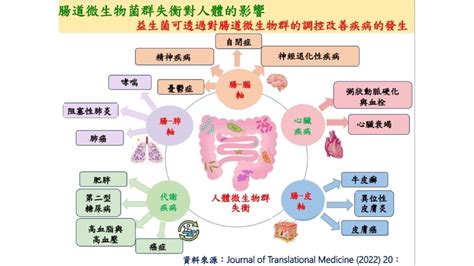 腸保健：維持消化系統健康的關鍵