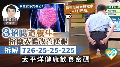 腸胃保健：守護腸道健康的全方位指南