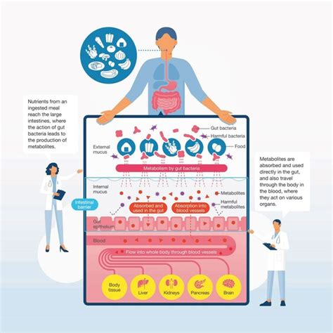 腸道微生物組研究：