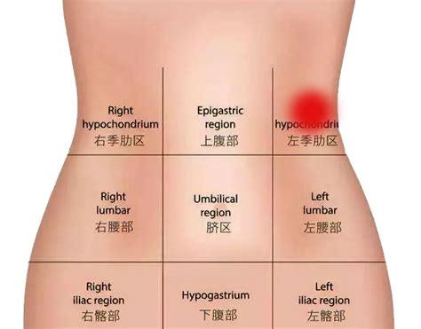 腹部疼痛的常见原因