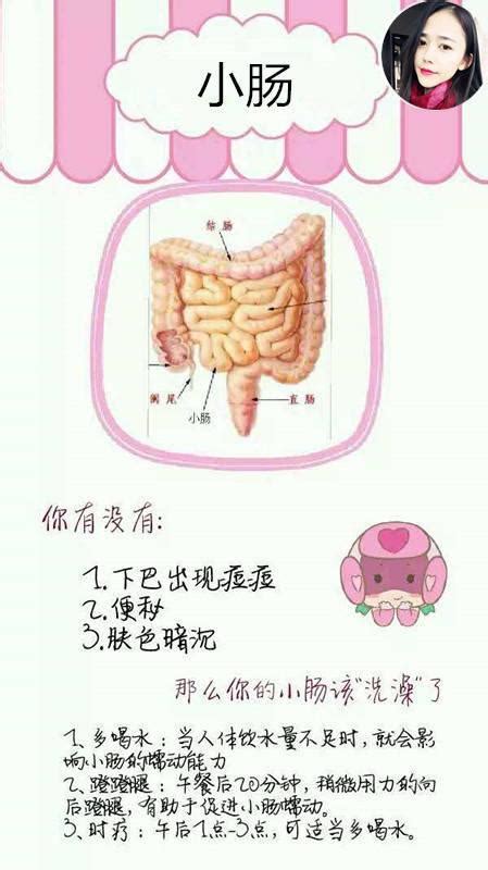 臟腑名稱：