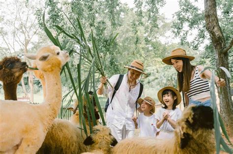 自助旅遊：盡享冒險，創造獨特回憶