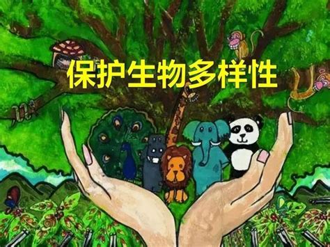 自然平衡：生物多樣性對我們世界的重要性