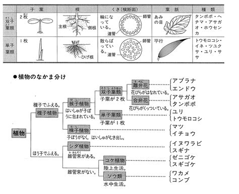 自然界の致死性植物