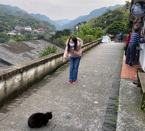 臺北到猴硐貓村