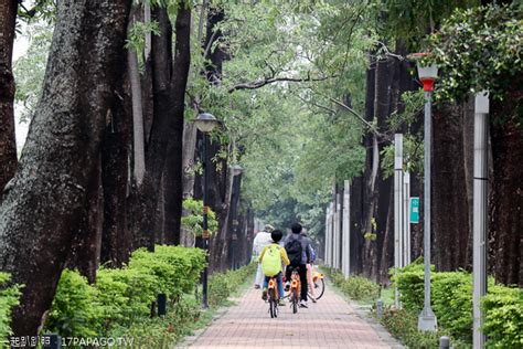 興 大 綠 園 道