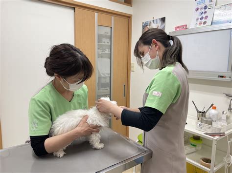 舞鶴動物病院：ワンちゃんやネコちゃんの健康をサポートする総合施設