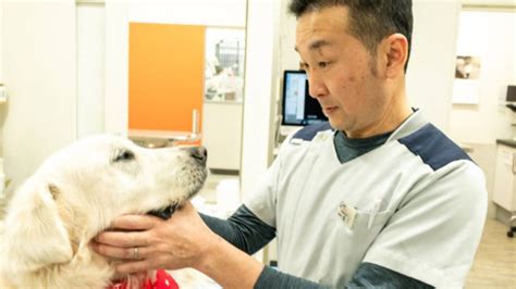 舞鶴 動物 医療 センター