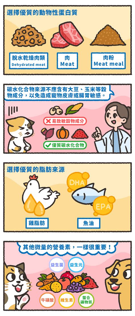 艾爾普天然狗糧：優質飼料，呵護毛孩健康