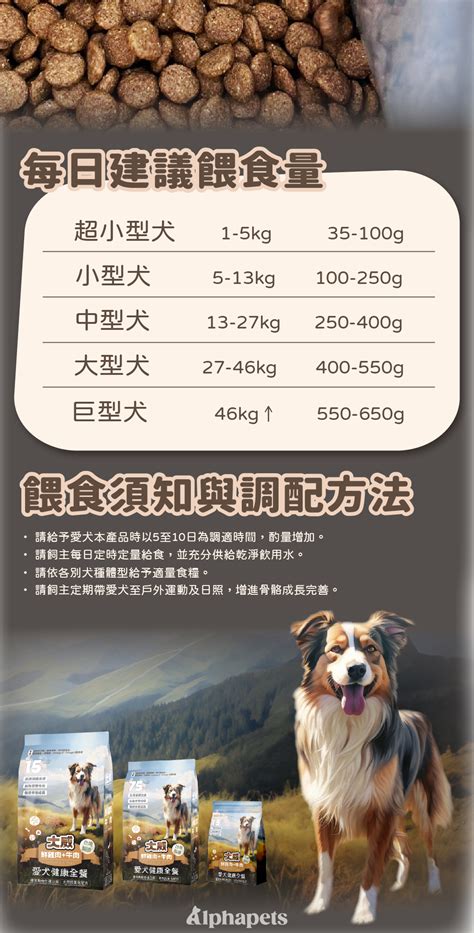 艾爾普斯天然狗糧：呵護愛犬健康的頂尖選擇