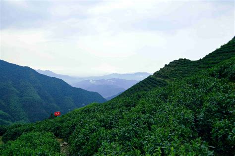 芙蓉 山