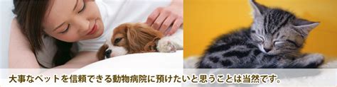 花園動物病院：信頼できるペットケアのガイド