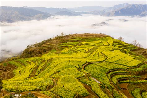 花海經濟效益