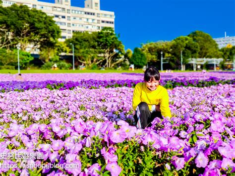 花海資訊