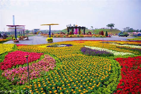 花田 綠 島