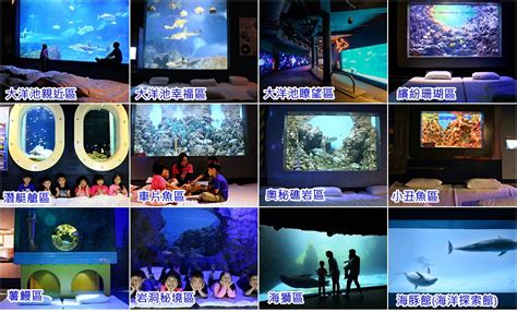 花蓮水族館：海洋生物的樂園