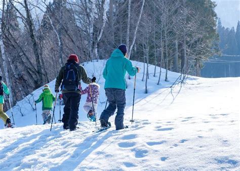 苗場滑雪場：享受無與倫比的冬季運動體驗